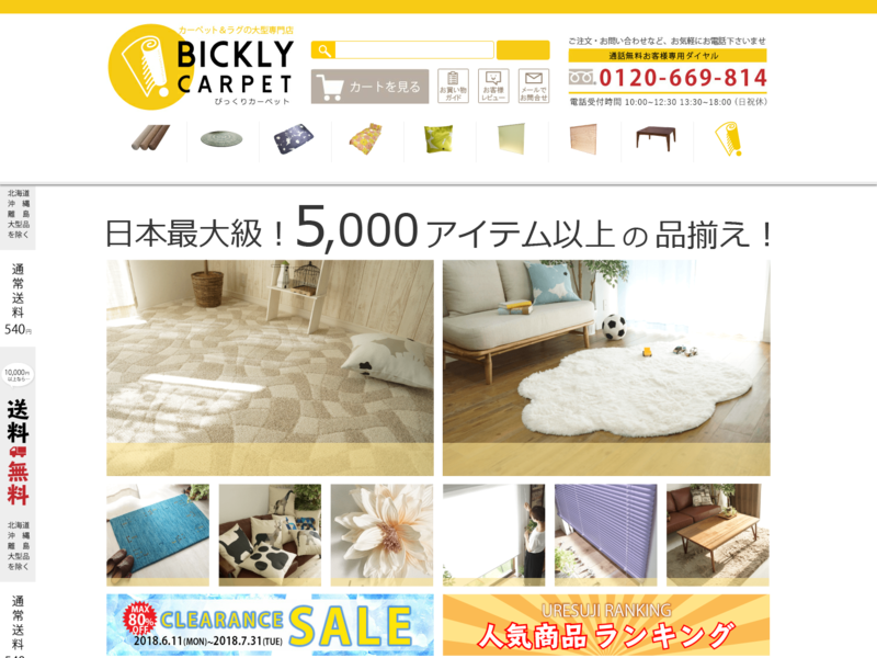 びっくりカーペット